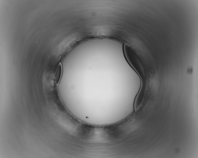 X0000112540264200908311453