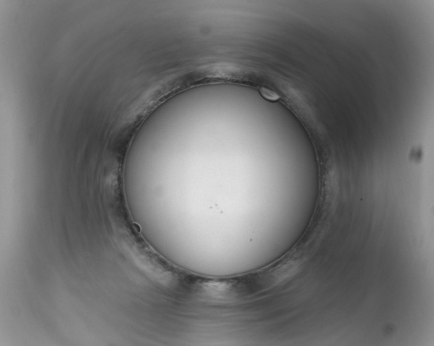 X0000112540265200908311453