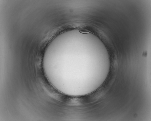 X0000112540268200908311453