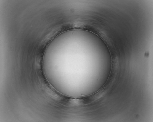 X0000112540269200908311453