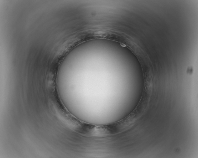 X0000112540270200908311453