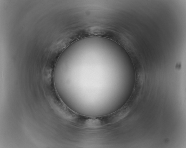 X0000112540271200908311453