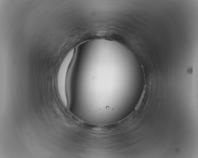 X0000112540272200908311453