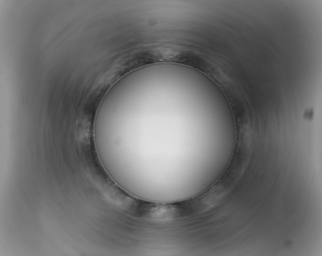 X0000112540274200908311453
