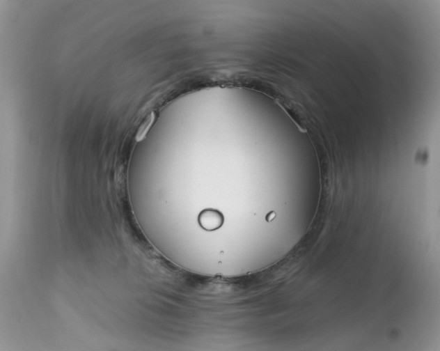 X0000112540276200908311453
