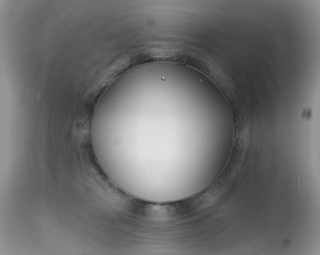 X0000112540277200908311453