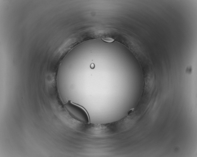 X0000112540278200908311453