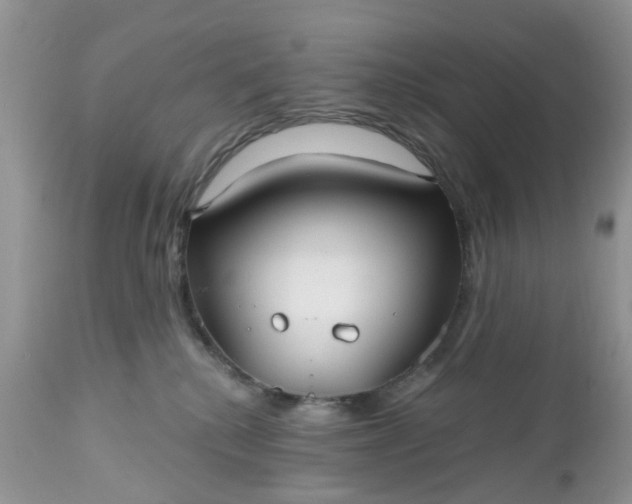X0000112540280200908311453