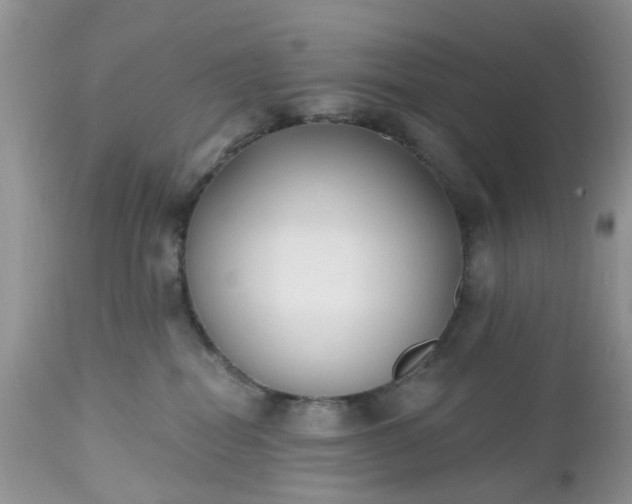 X0000112540282200908311453