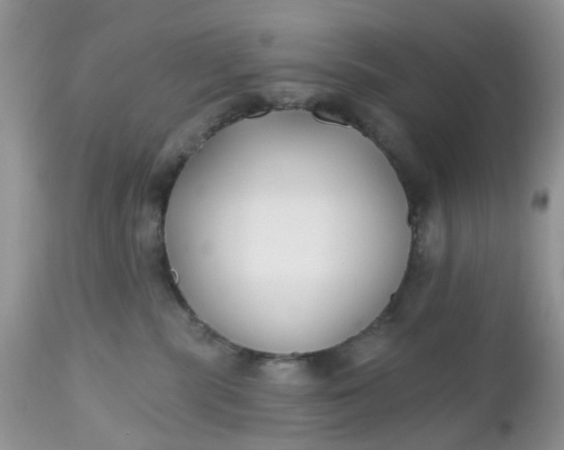 X0000112540283200908311453