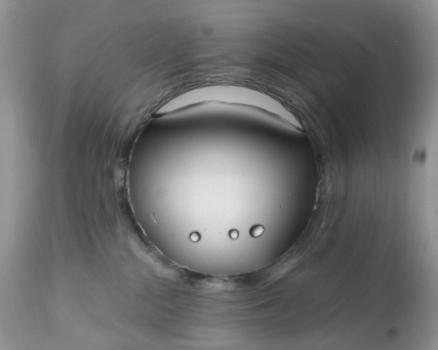 X0000112540284200908311453