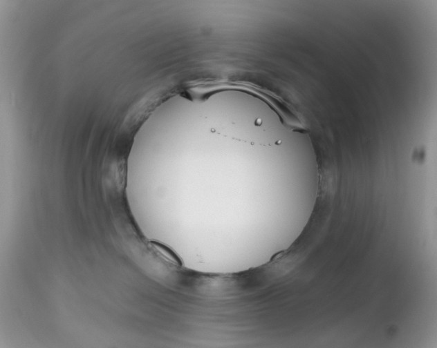 X0000112540286200908311453