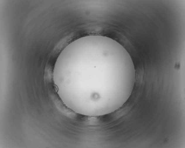 X0000112540287200908311453