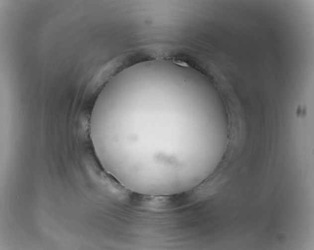 X0000112540288200908311453
