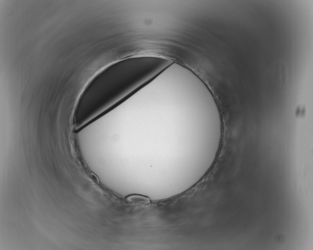 X0000112540289200908311453