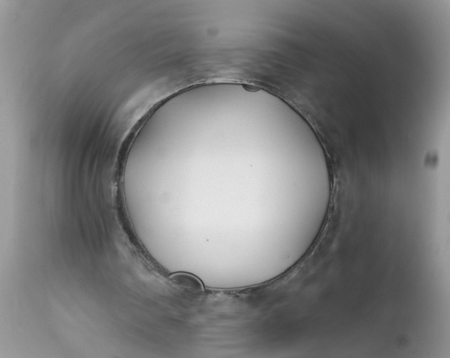 X0000112540290200908311453