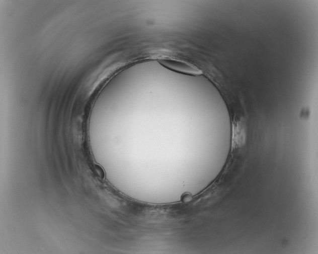 X0000112540291200908311453