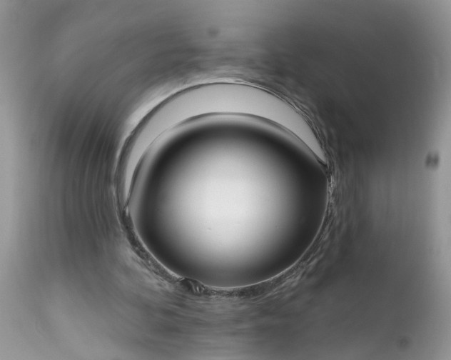X0000112540292200908311453