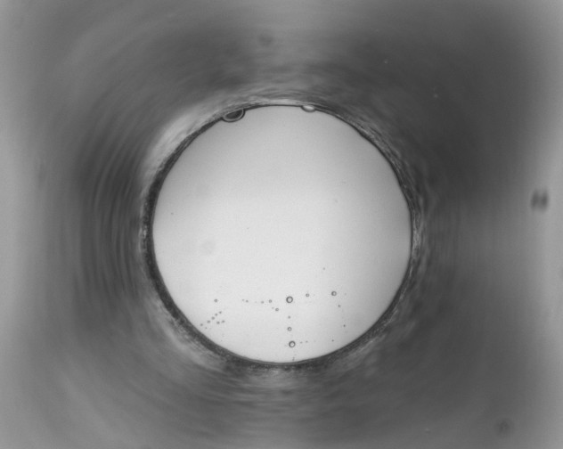 X0000112540293200908311453