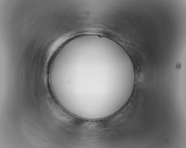 X0000112540294200908311453