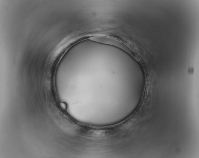 X0000112540295200908311453