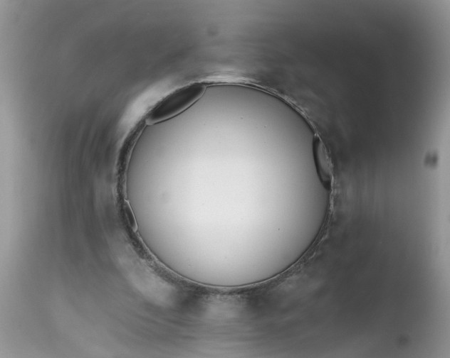X0000112540296200908311453