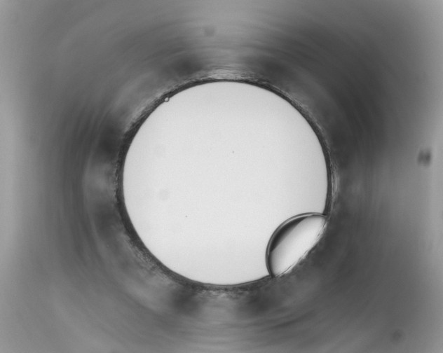 X0000112540297200908311453
