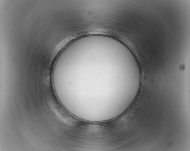 X0000112540298200908311453