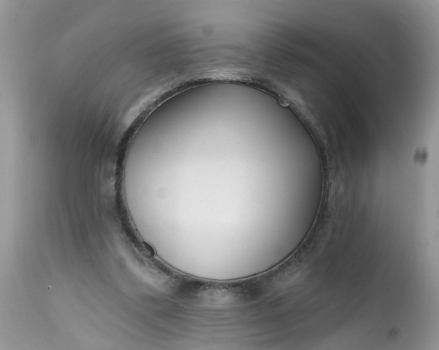 X0000112540299200908311452
