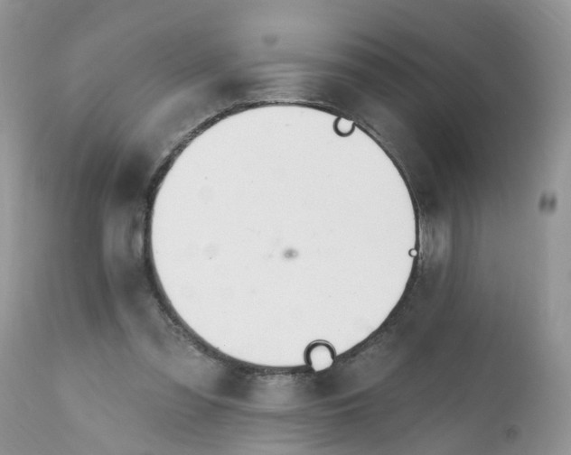 X0000112540301200908311452