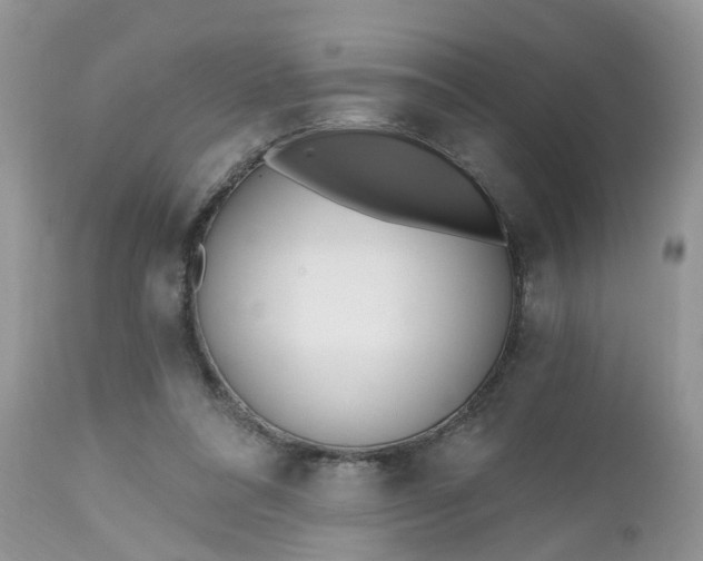 X0000112540304200908311452