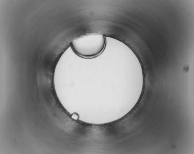 X0000112540305200908311452