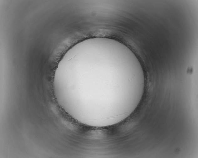 X0000112540307200908311452