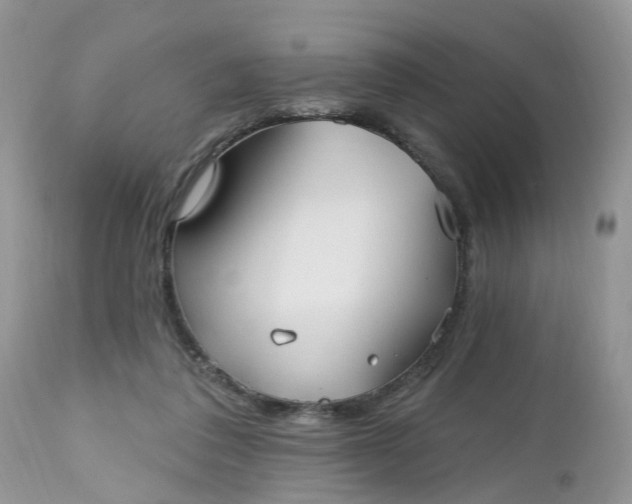 X0000112540308200908311452
