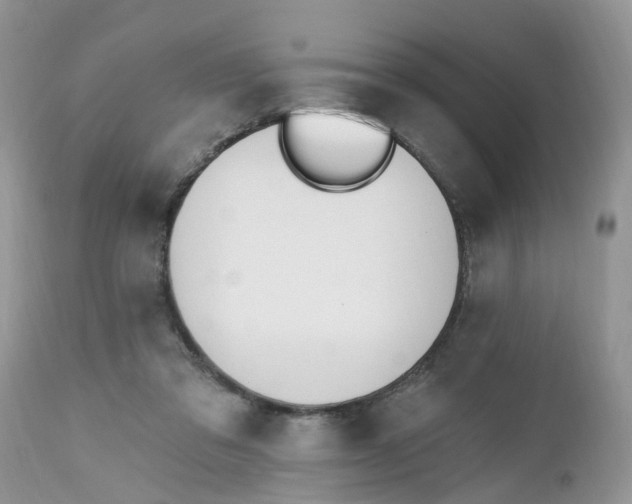 X0000112540309200908311452