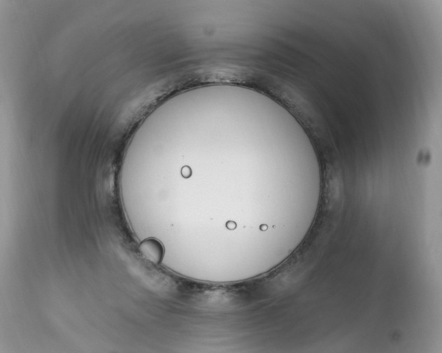 X0000112540310200908311452