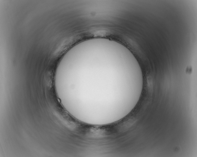 X0000112540311200908311452