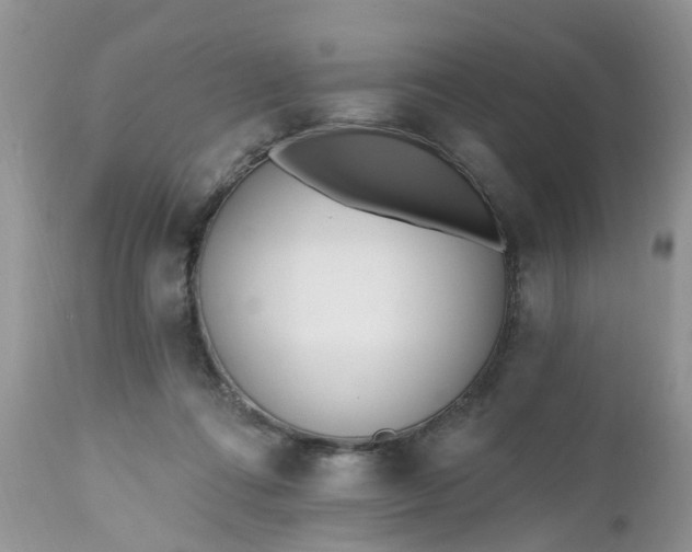 X0000112540312200908311452