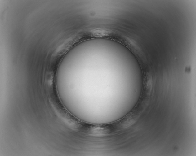 X0000112540315200908311452