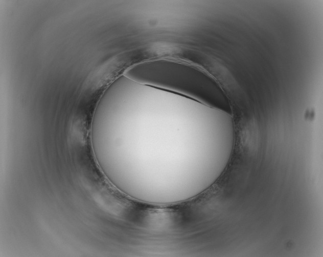 X0000112540316200908311452