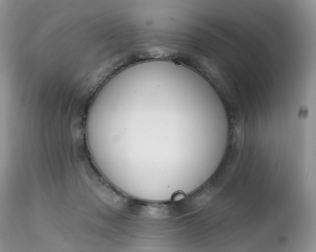 X0000112540317200908311452