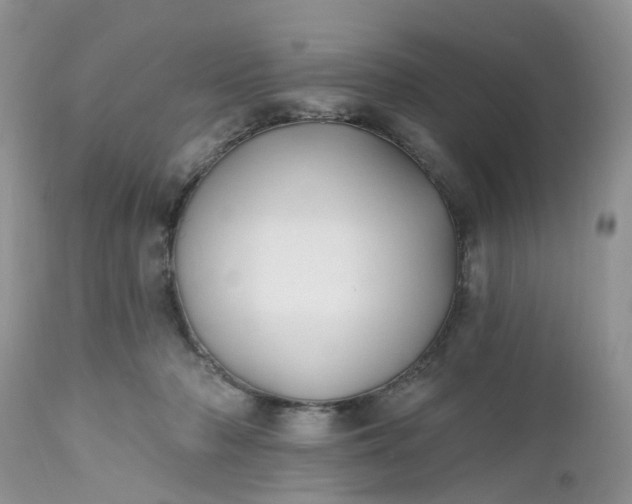 X0000112540318200908311452