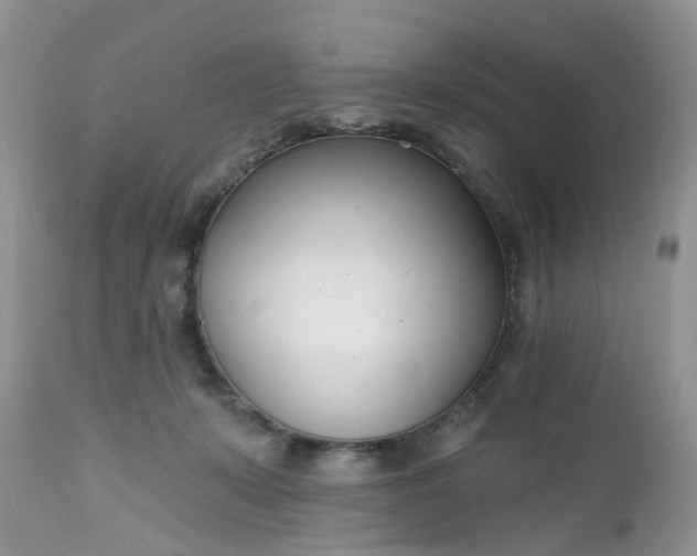 X0000112540319200908311452