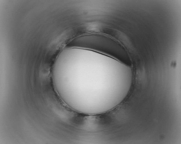 X0000112540320200908311452