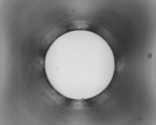 X0000112540321200908311452