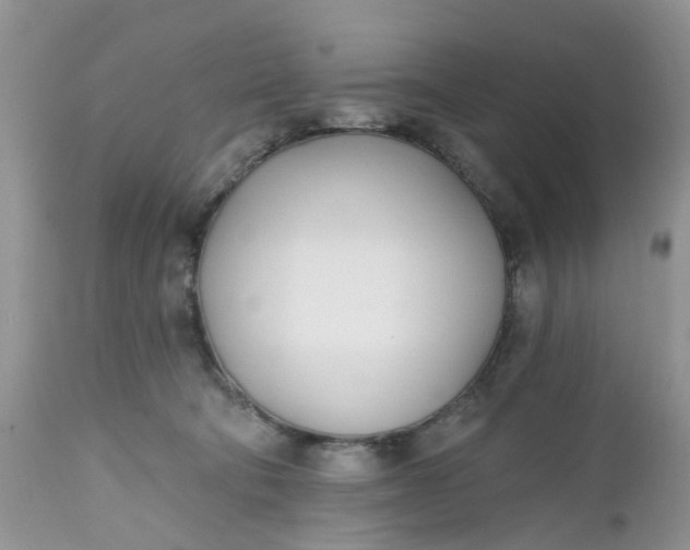 X0000112540322200908311452