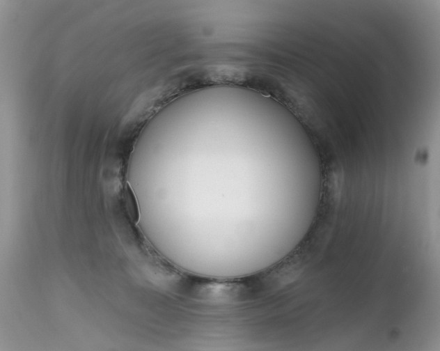 X0000112540323200908311452