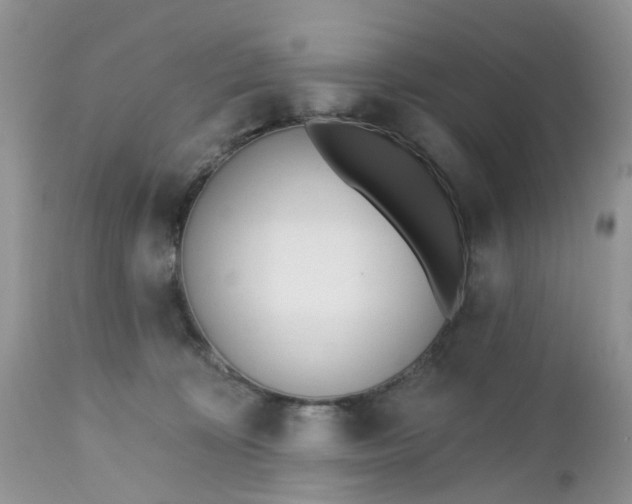X0000112540324200908311452