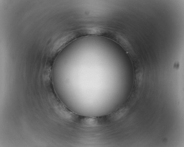 X0000112540325200908311452