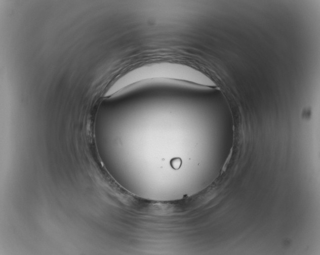 X0000112540328200908311452